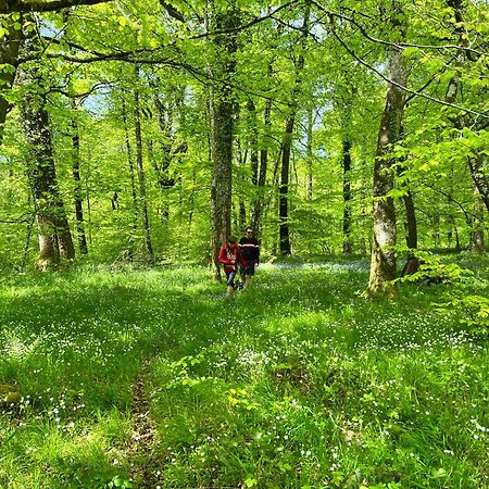 Maison Chaleureuse Avec Jardin - Pause Normande Sées Εξωτερικό φωτογραφία